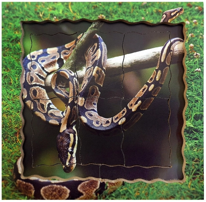 Snake Life Cycle Layered Wooden Puzzle