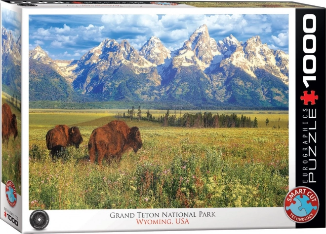 Eurographics jigsaw puzzle Grand Teton National Park 1000 pieces