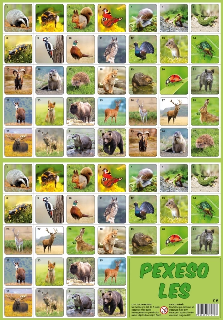 Forest Animals Memory Game