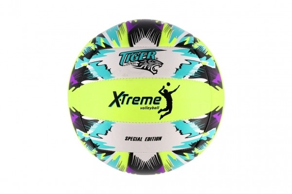 Volleyball ball colorful stitched leather 21cm in bag