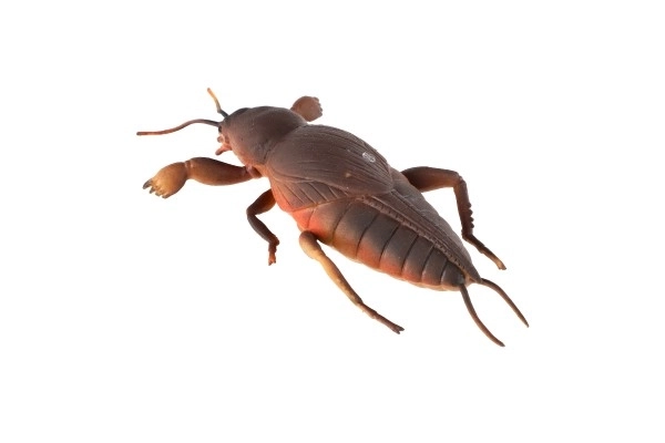 Antistresový silikónový gekon 18cm