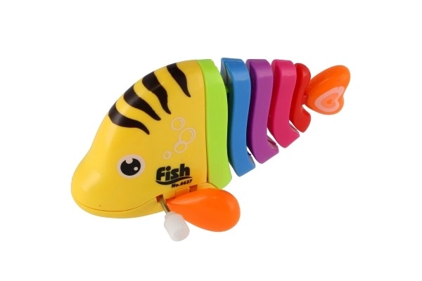 Colorful Wind-up Plastic Fish Toy