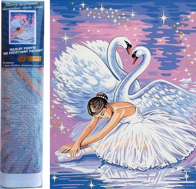 diamond painting swan lake set 30x40cm