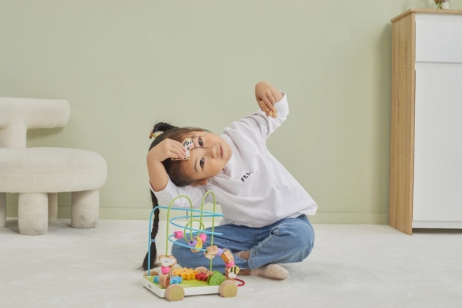 Wooden Pull-Along Maze Toy