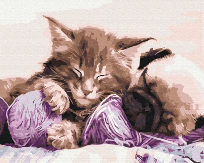 Paint by Numbers Kit - Cat and Dog