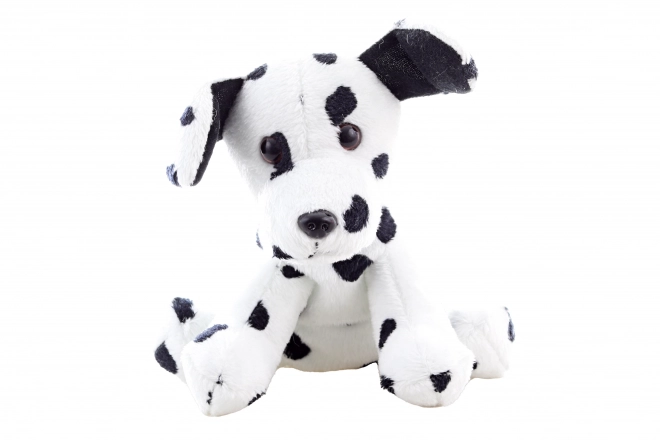 Plush Dalmatian Dog