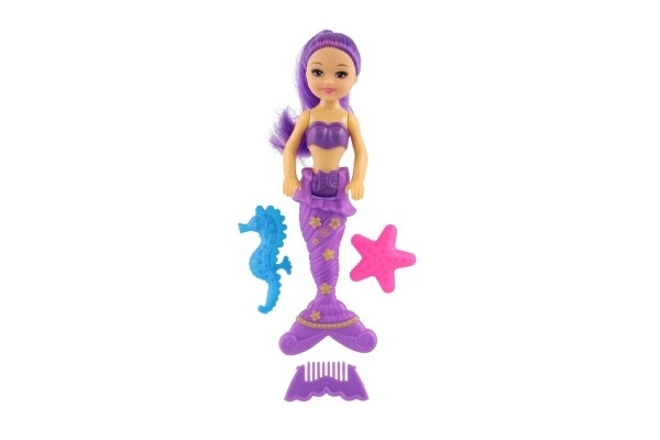 Mermaid Doll with Accessories