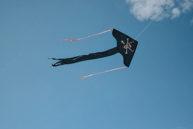 Pirate Twister Kite