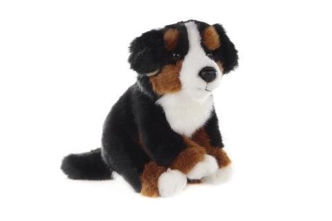 Plush Bernese Mountain Dog Toy