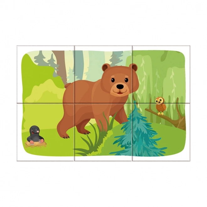 Forest Animals Picture Blocks