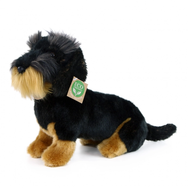 Plush Wire-haired Dachshund Sitting 30 cm