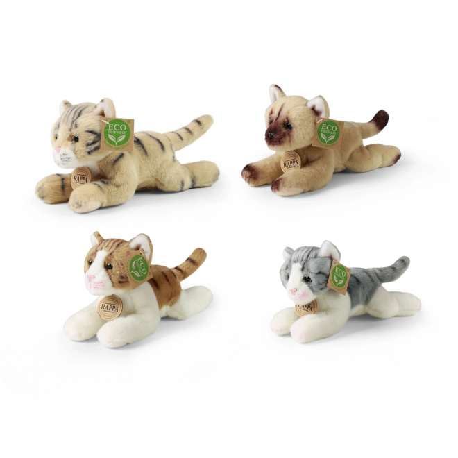 Exclusive Plush Dogs and Cats Eco-Friendly Display