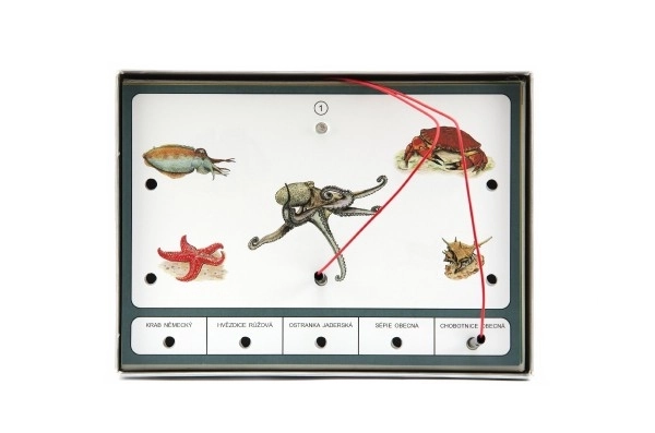 World Animals Electronic Learning Game