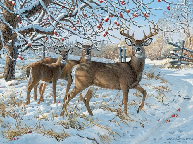 Cobble Hill Winter Deer Puzzle 500 Pieces