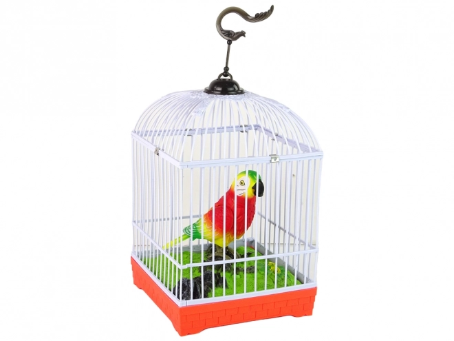 Singing Colorful Parrot with Cage