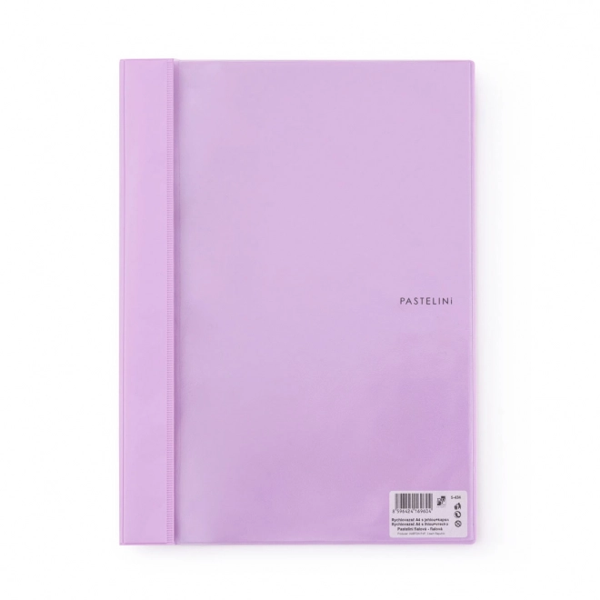 Document Binder with Transparent Cover