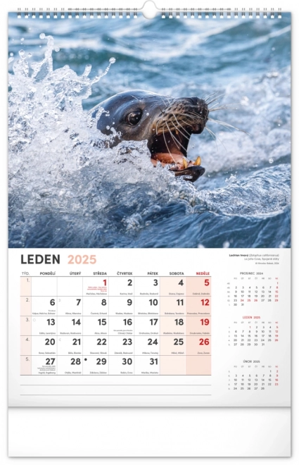 Notique Wall Calendar Most Interesting Animals 2025