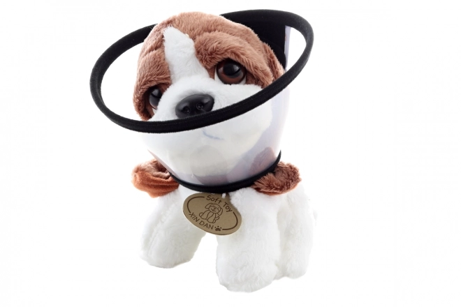 Plush Dog with Kennel and Accessories