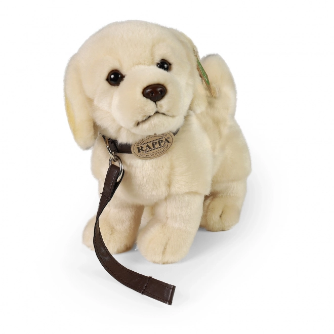 Plush Golden Retriever with Leash Eco-Friendly