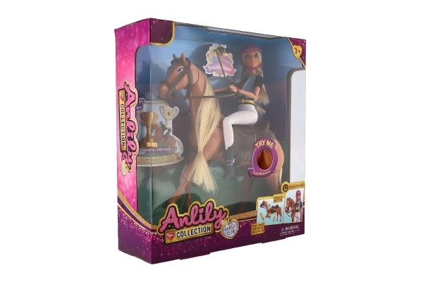 Anlily Equestrian Doll with Grooming Horse Set