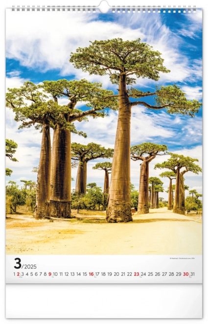 Wall Calendar Trees 2025