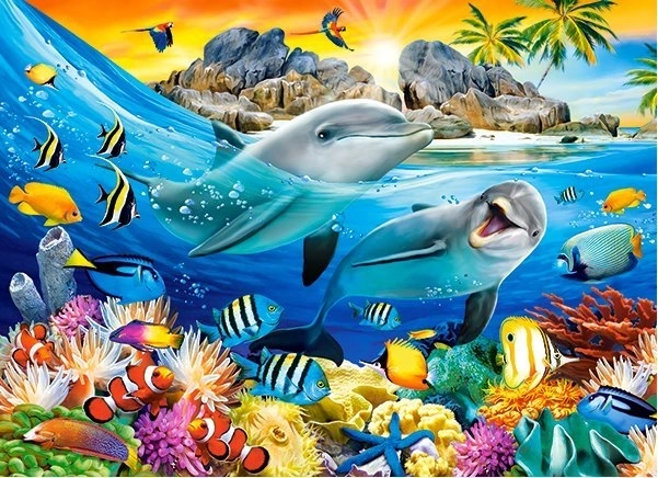 Tropical Dolphins Jigsaw Puzzle