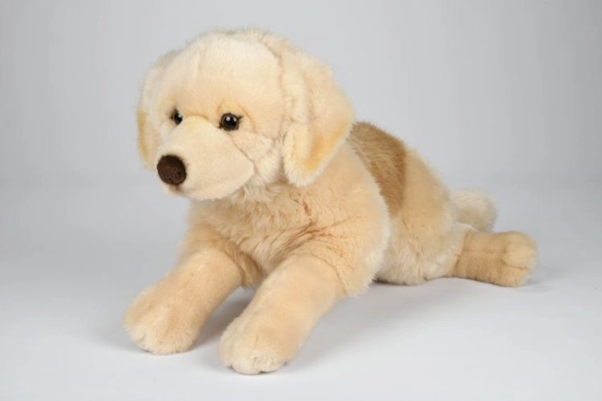 Large Plush Retriever