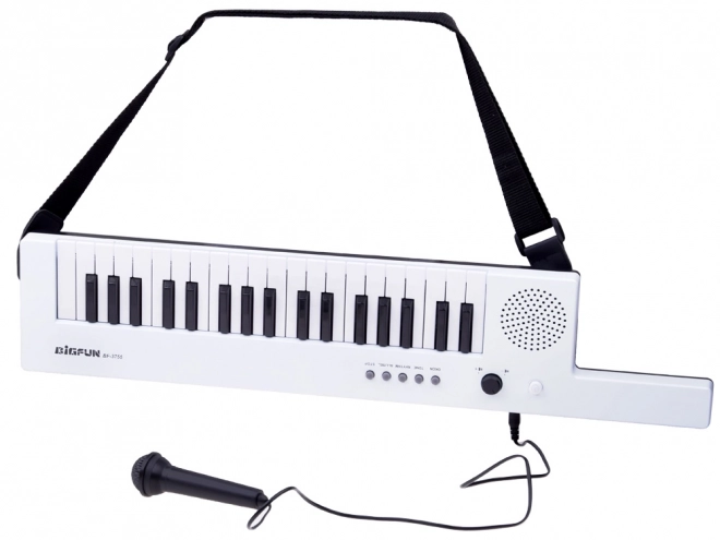 Electronic Keyboard Organs with Handle Musical Toy