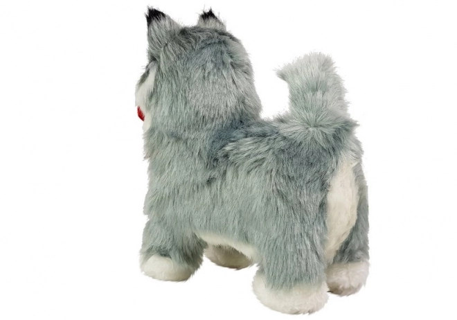 Interactive Husky Puppy Toy