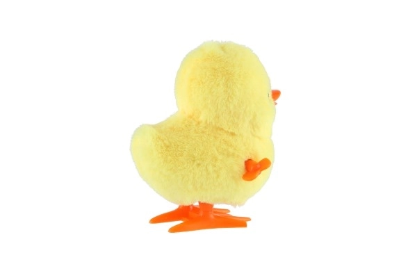 Wind-Up Duck Toy Set