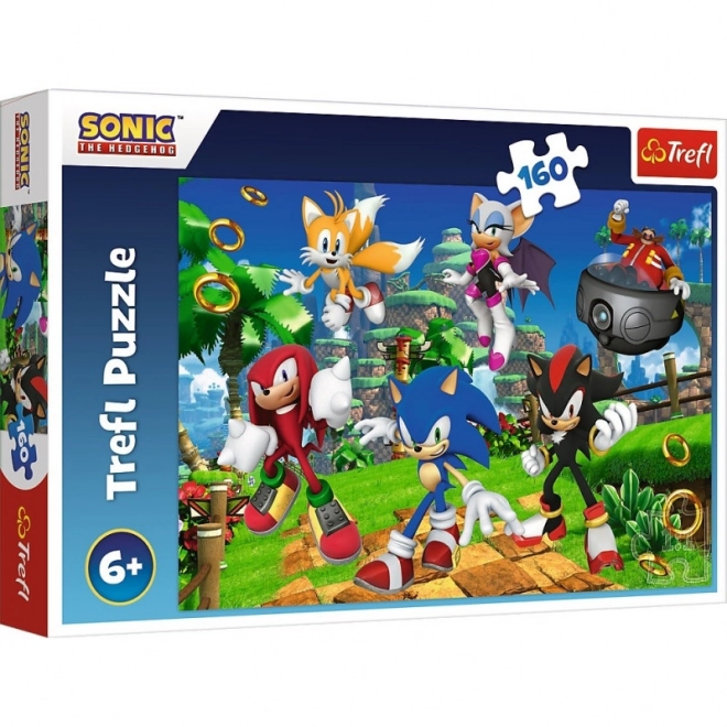 Sonic and Friends 160 Piece Puzzle