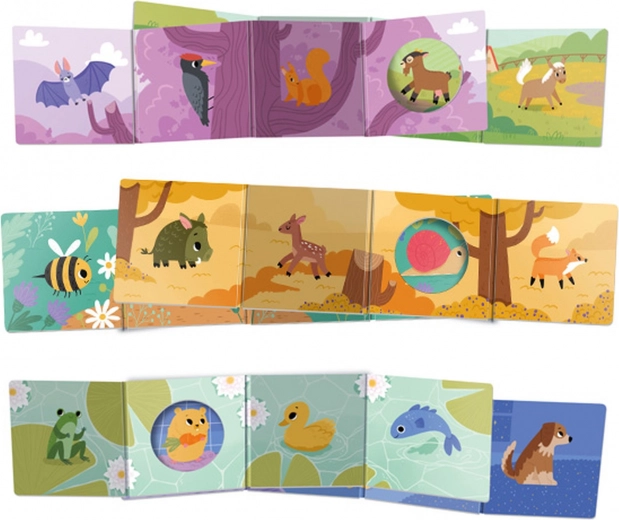 Three accordion board books for little ones