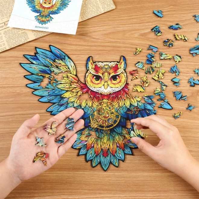 Wooden Owl Puzzle RoboTime