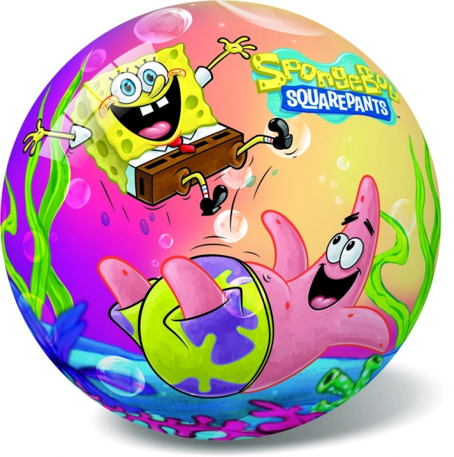 Spongebob Ball 20cm in Net