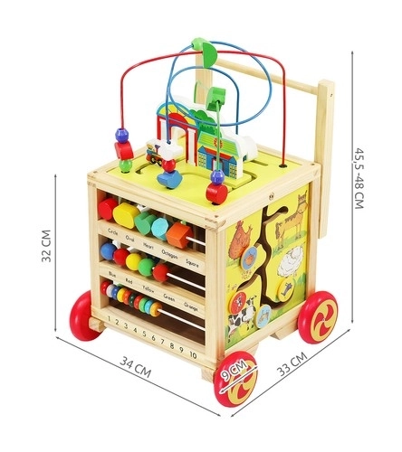 Wooden Push Walker and Educational Cube for Kids