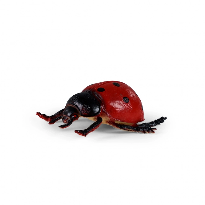 Insect Toy Set