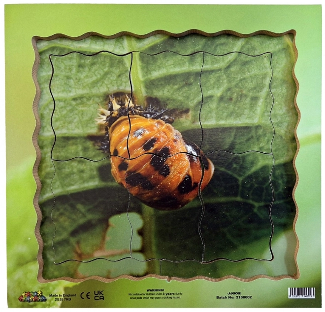 Wooden Layered Puzzle Ladybug Life Cycle