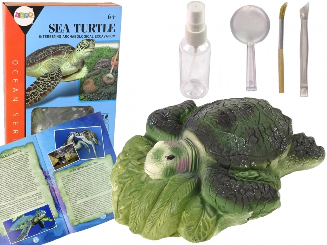 Educational Archaeology Set Turtle and Ammonites