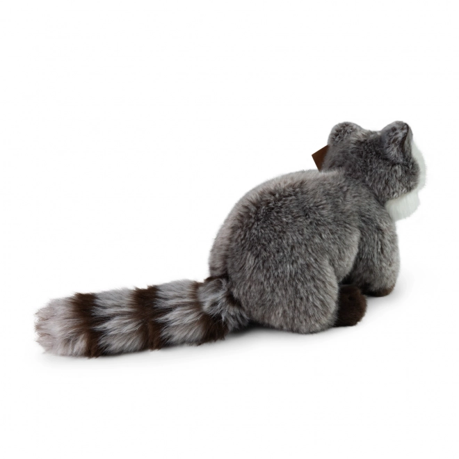 Plush Raccoon Eco-Friendly 22 cm