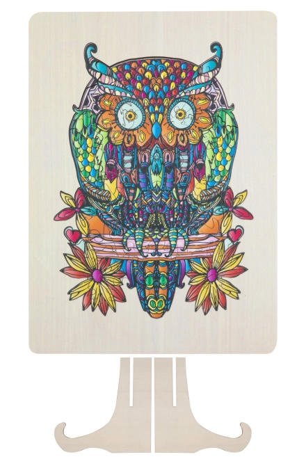 Detailed illustrated owl