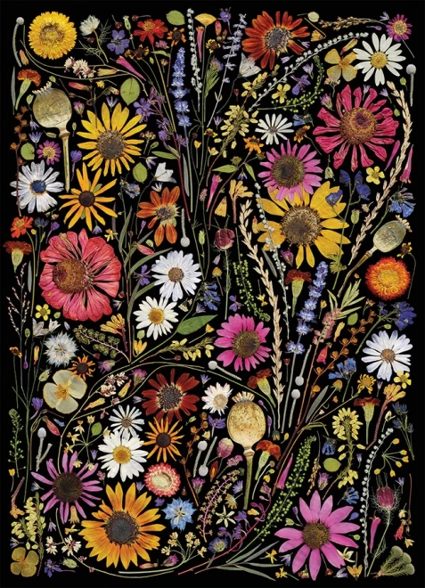 Cobble Hill Puzzle Fiori Pressati: Felicità 1000 Pezzi