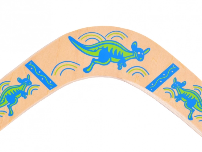 Wooden Boomerang Fun Toy