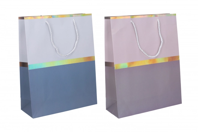 Gift bag medium 25x32x10 cm colorful
