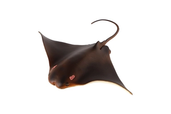 Oman Cownose Ray Toy