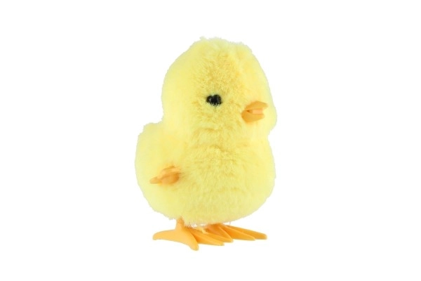 Wind-Up Chick Toy