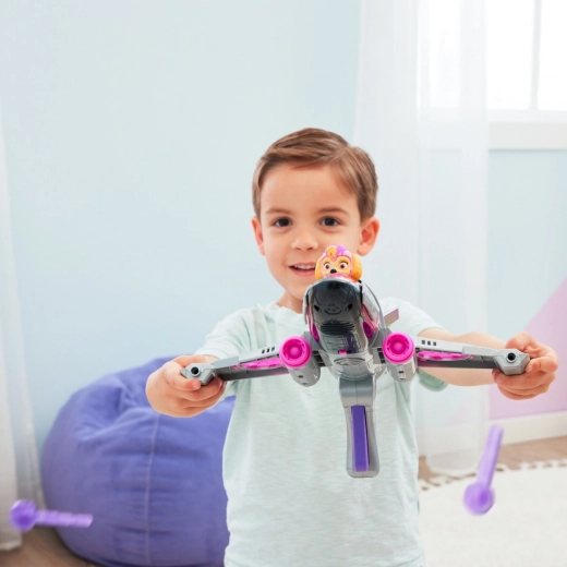 Contrôle des ailes et manœuvres de vol dynamiques