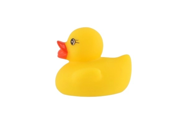 Glowing Duck Toy for Bath