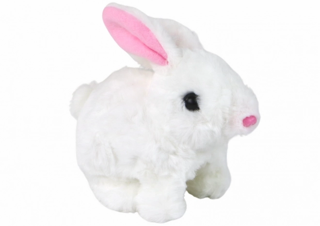 Interactive Walking Bunny Toy