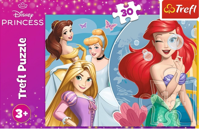 Puzzle 30 pezzi Una bella giornata con le principesse Disney