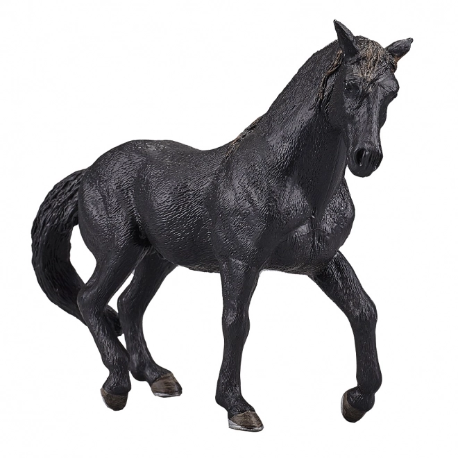 Mojo Andalusian Horse Black